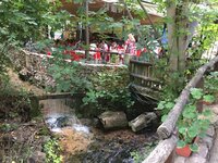 IMG_9007.JPG IMG_9007.JPG