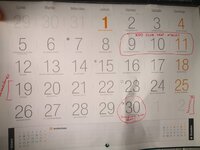 IMG_20180930_165138.jpeg