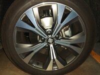 IMG_20181015_063219.jpg