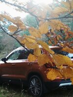 IMG_20181111_200320_128.jpg