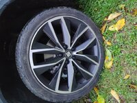 IMG_20181111_175953.jpg