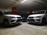 IMG_20181123_170456.jpg