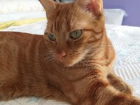 20181015_131304.jpg