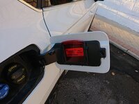 DSC_2611.JPG