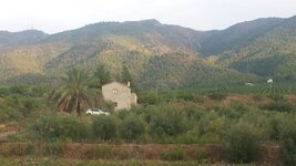IMG-20170831-WA0002.jpg