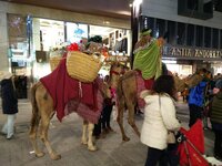IMG_20181208_193636.jpg