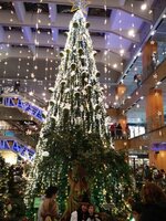 IMG_20181208_194949.jpg