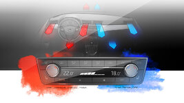 SEAT IBIZA 100L.JPG