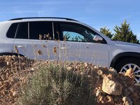 IMG_0104.JPG