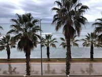 IMG_1192.JPG