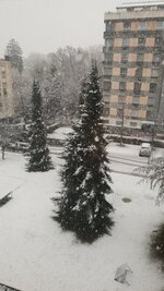 20190201_161038.jpg