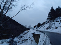 IMG_20190202_074922_309.jpg