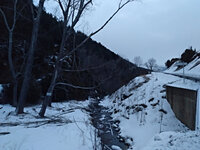IMG_20190202_074915_334.jpg