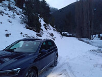 IMG_20190202_074836_629.jpg
