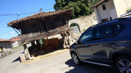 IMG_20180814_120246.jpg