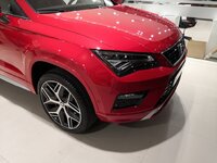 6-conce 20190207 .jpg 6-conce 20190207 .jpg