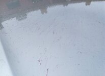IMG_20190228_133415.jpg