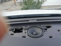 IMG_20190312_180642.jpg