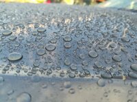 IMG_20180514_203103.jpg
