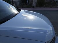IMG_20190320_170956.jpg