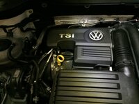 IMG_8322.jpeg