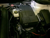 IMG_8329.jpeg