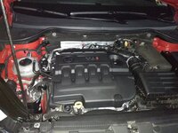 IMG_20190328_064926.jpg