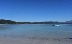 IMG_20190331_144427.jpg