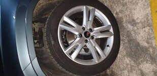 20190403_152032.jpg