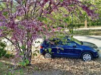 IMG-20190413-WA0006.jpg