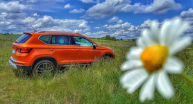 ATECA Primavera Baja.jpg