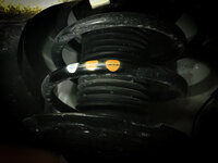 IMG_8385.jpeg