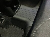 IMG_8039.jpeg