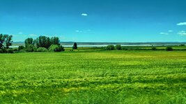 IMG_20190601_144936.jpg