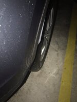 IMG_5201.jpg