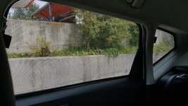 20190613_154209.jpg