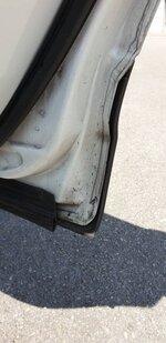 20190615_152302.jpg