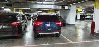 20190630_113313(1).jpg