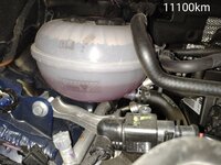 IMG_20190725_181806.jpg