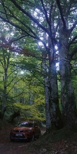 20190928_185632-02.jpeg