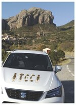 ATECA MOSCA.jpg