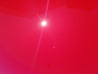 20190615_125319.jpg