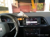 IMG_20191011_184731.jpg