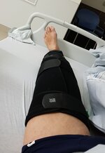 Patella.jpg