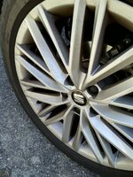 IMG_20200111_155133.jpg