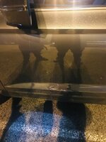 IMG_0456.jpeg