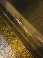 IMG_0457.jpeg