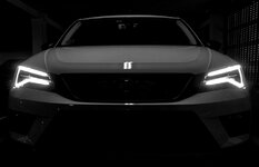 Ateca in the dark bn small.jpg