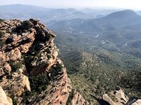 IMG_9294.jpg