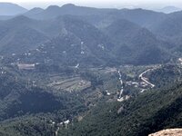 IMG_9301.jpg